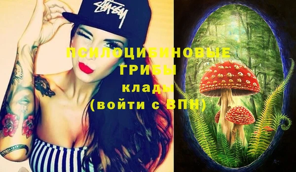 винт Абинск