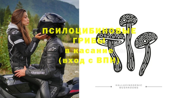 винт Абинск